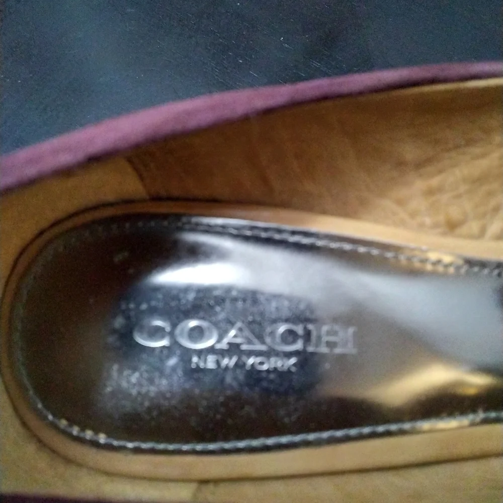 Coach Suede Waverly Pump